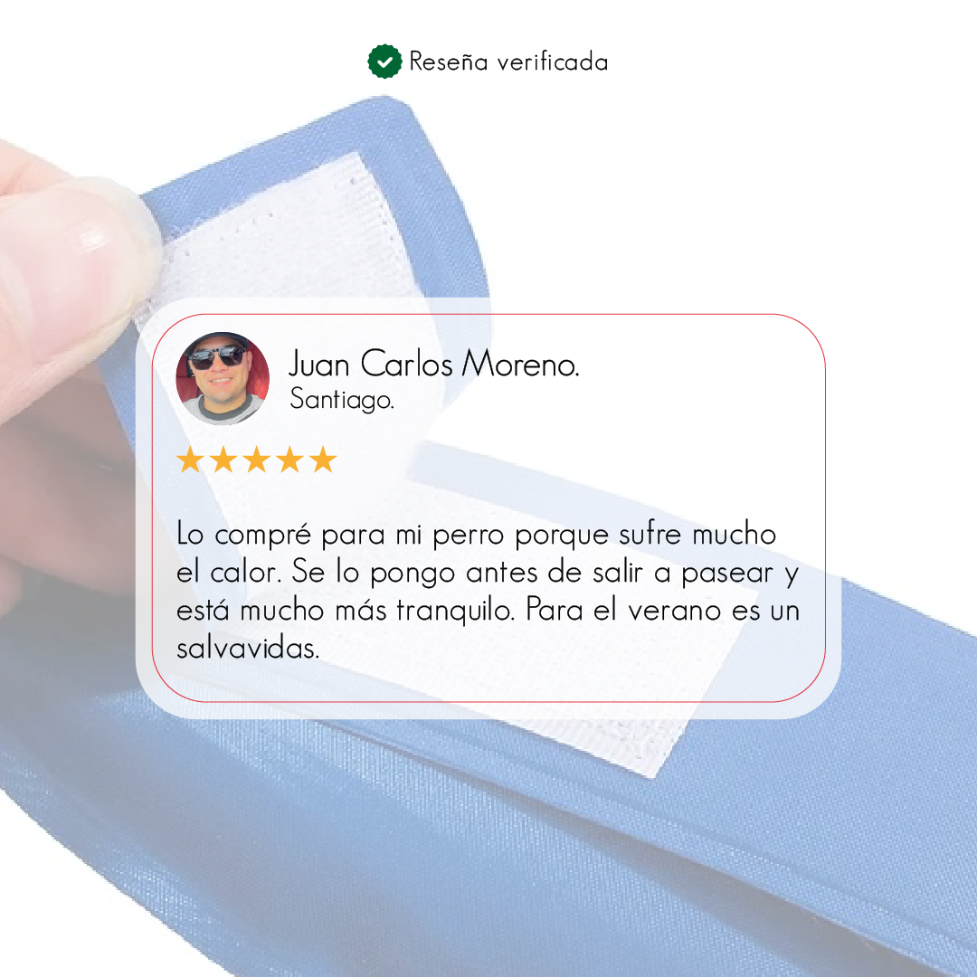 Collar Refrescante para Mascotas – Alivio Real en Días de Calor.