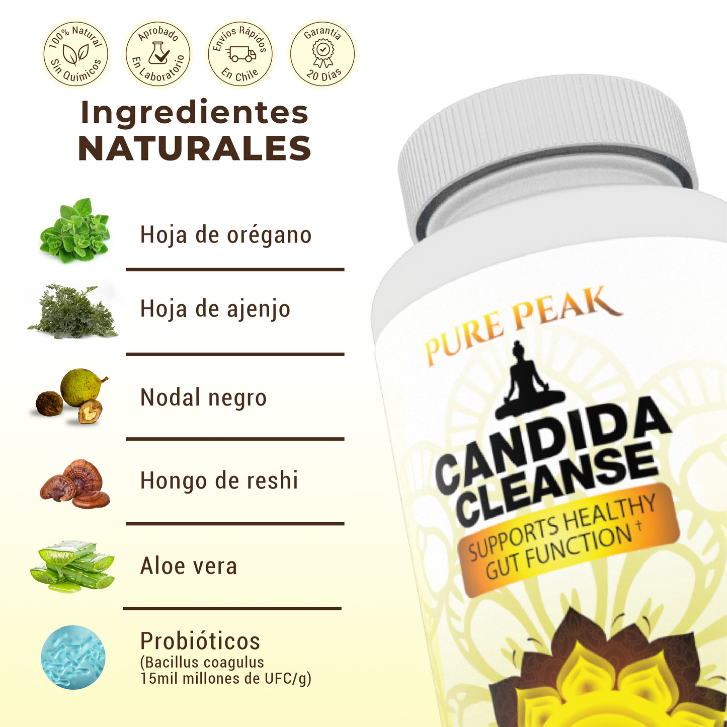 Candida Cleanse - Menos hinchazón, más energía y equilibrio natural.