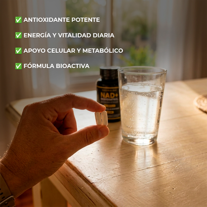 NAD + Resveratrol – Suplemento Antiedad y Energético