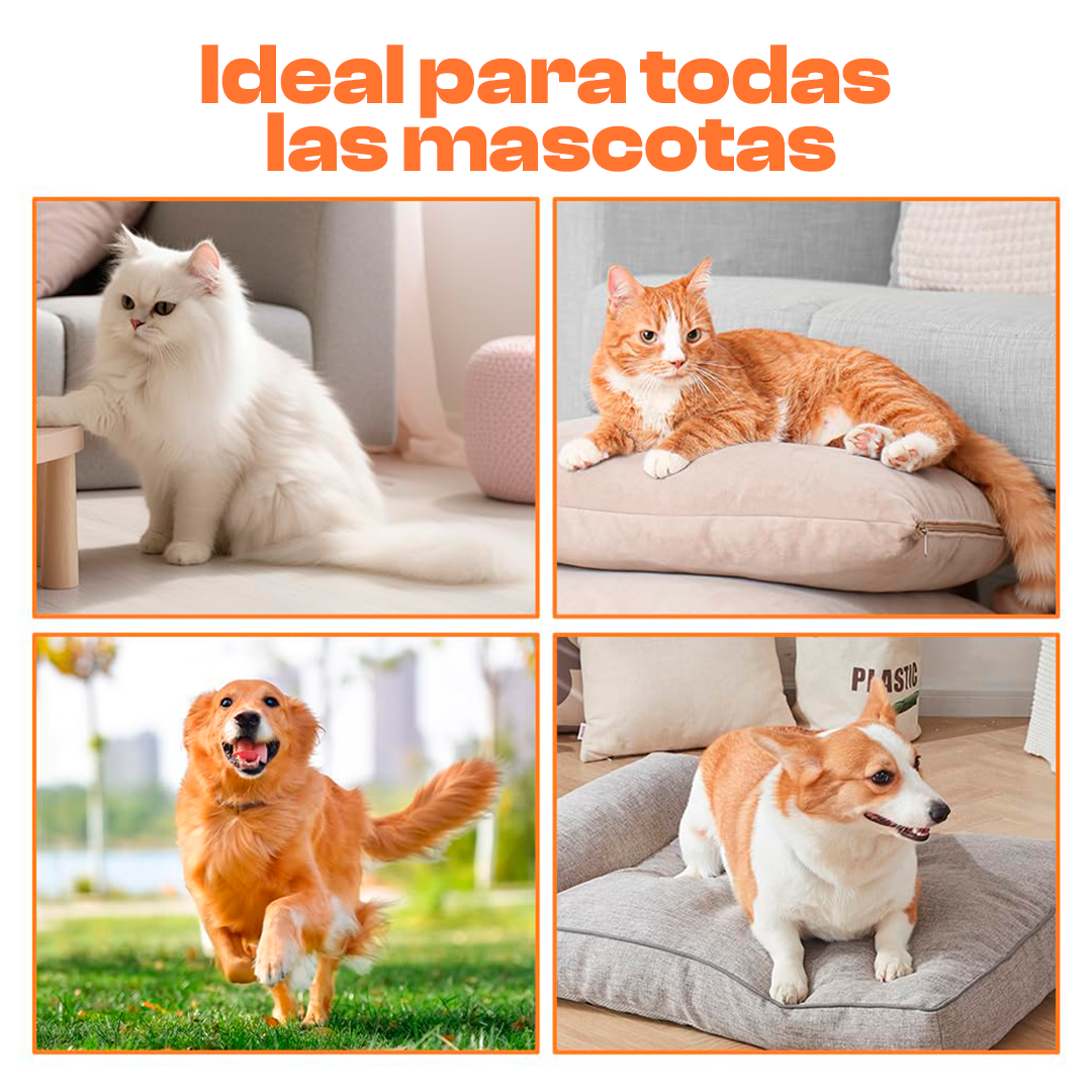 VaporPet - Cepillo Vaporizador Recargable Para Mascotas