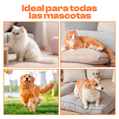 VaporPet - Cepillo Vaporizador Recargable Para Mascotas